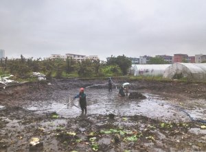 和顺河道鱼塘清淤